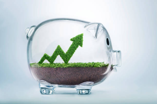 navigant credit union pay loan