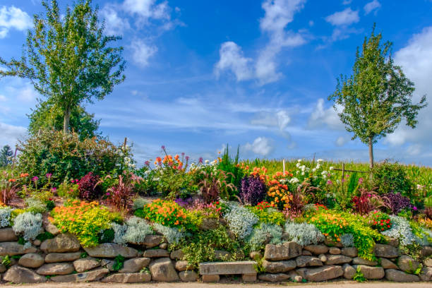 Rockery in St-Fraimbault in summer, Orne, Normandy France
