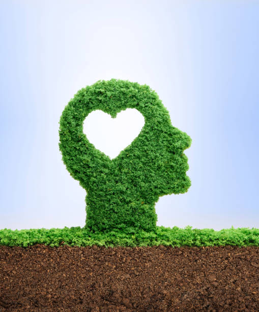 Growing emotional intelligence concept Learning to love concept, with grass growing in the shape of a cut out heart inside a human head. Love is the seed of our being. psyche photography stock pictures, royalty-free photos & images