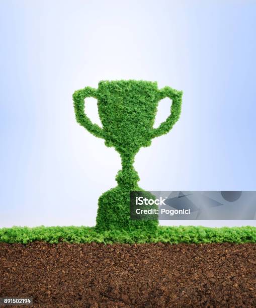 Growing Succces Concept Stock Photo - Download Image Now - Award, Environmental Conservation, Trophy - Award