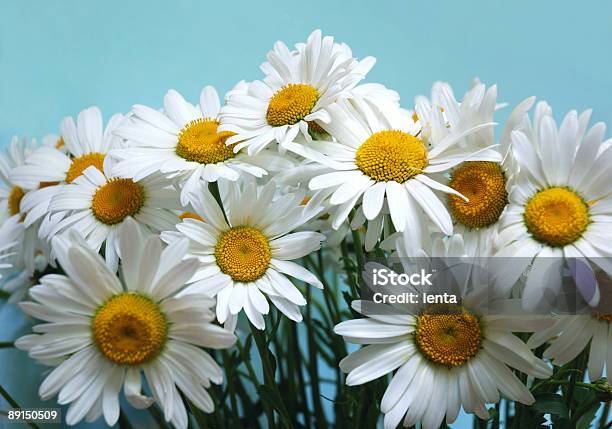 Schöne Blumen Stockfoto und mehr Bilder von Bildhintergrund - Bildhintergrund, Blatt - Pflanzenbestandteile, Blume