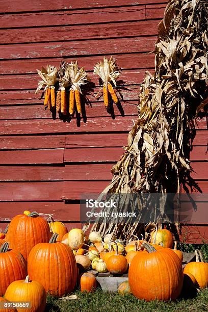 Autunno Farm Vendemmia - Fotografie stock e altre immagini di Fienile - Fienile, Zucca, Ambientazione esterna