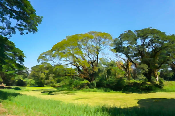 New green leaves born on old tree, blue sky background , beautiful nature stock artistic illustration