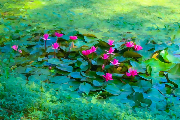 istock Water Colour of red water lily, artistic image 891515160
