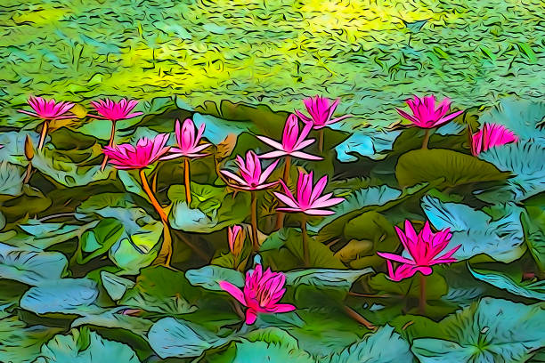 Oil paint of red water lily, artistic image Oil paint illustration of Nymphaea nouchali or Nymphaea stellata, common name red water lily, is a water lily of genus Nymphaea. the national flower of Sri Lanka and Bangladesh. nymphaea stellata stock pictures, royalty-free photos & images