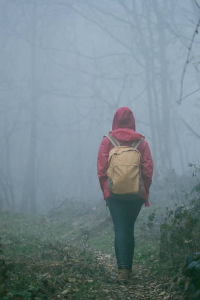 istock Misty and foggy forest 891517894