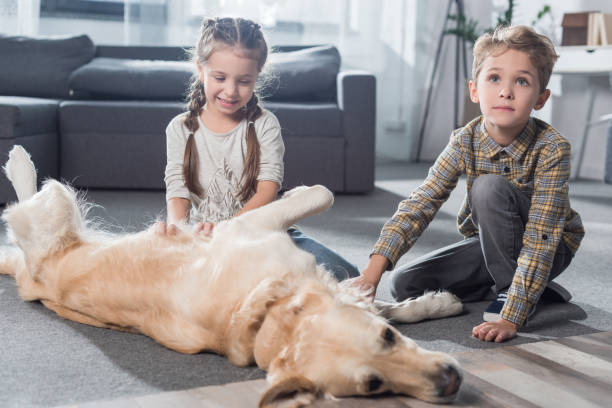 istock Children petting dog 891517982