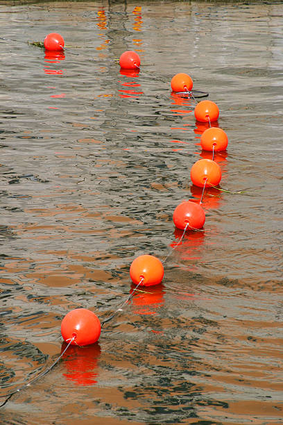 istock Buoys in line 89151893