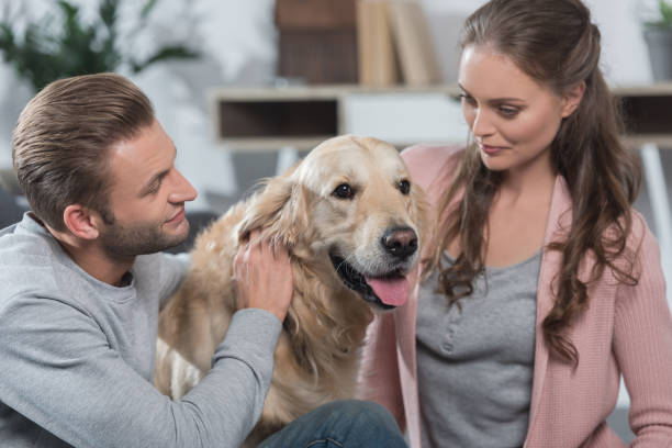 istock Couple petting dog 891522446