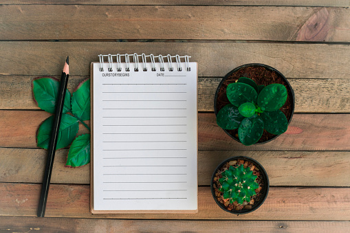 Notepad with cactus in a pot on wood background.using wallpaper for education, business photo.Take note of the product for book with paper and concept, object or copy space.