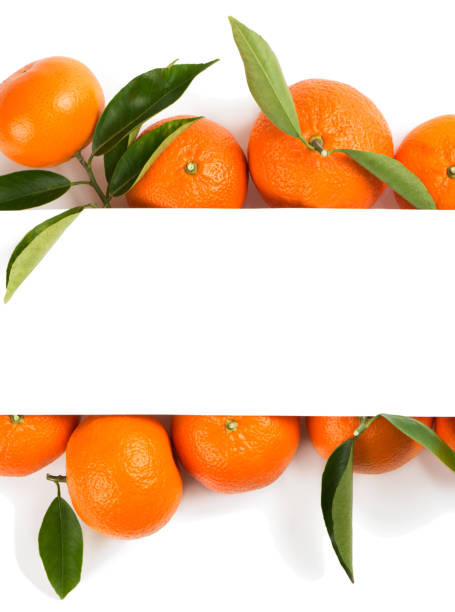 istock Tangerines with white paper card note. 891523284