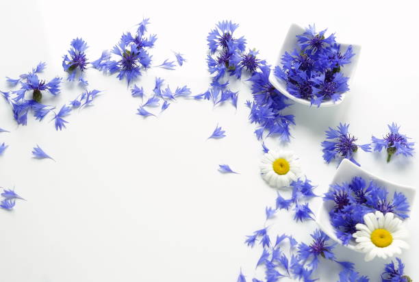 Bouquet blue flowers cornflowers on white background. top view. copy space
