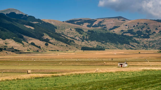 istock Mountain landscape in Abruzzi at summer 891523960