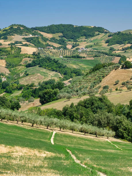 istock Landscape near Teramo (Abruzzi) at summer 891524086