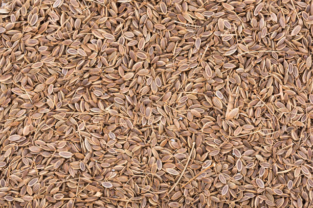 istock Pile of Caraway Seeds Background 891527328