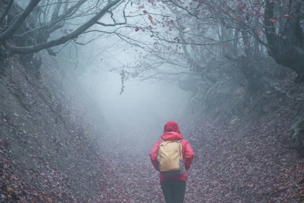 istock Misty road ahead of me 891527776