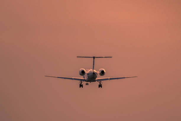 istock Airplane landing at sunset 891530754