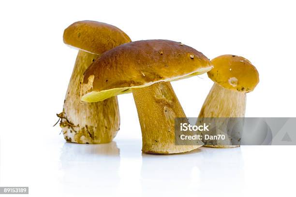 Boletus Edulis 0명에 대한 스톡 사진 및 기타 이미지 - 0명, Boletus, 균류