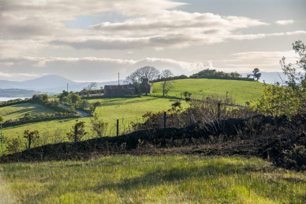 istock Bantry Bay on the Wild Atlantic Way, Ireland 891537600