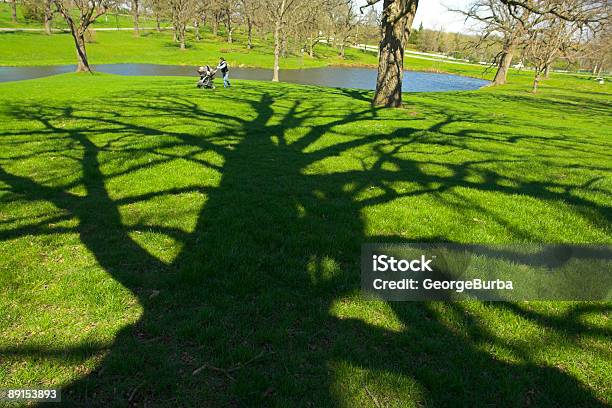 In Den Park Stockfoto und mehr Bilder von Abgeschiedenheit - Abgeschiedenheit, Agrarbetrieb, Balkengerüst