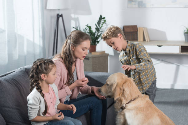 istock Mother and kids playing with dog 891540918