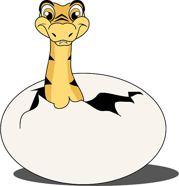 Python hatchling python-egg stock illustrations