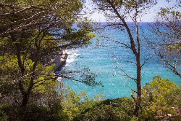 istock Seascape near Cala Mitjana, Menorca, Spain 891541686