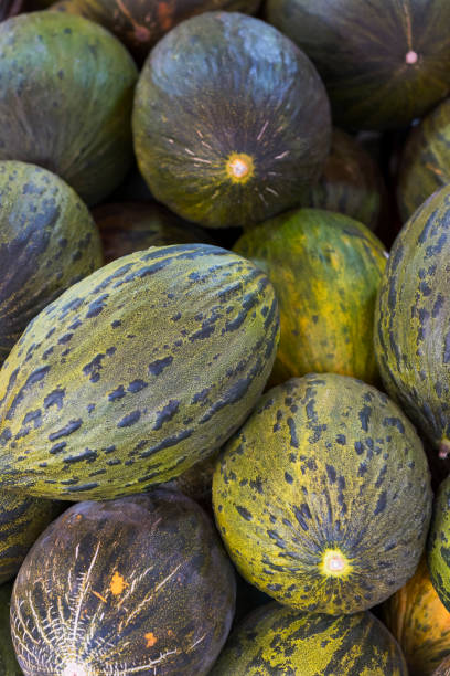 istock Background of ripe melons close-up 891547182