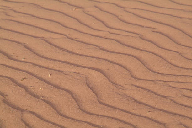 Desert Sand 3 stock photo
