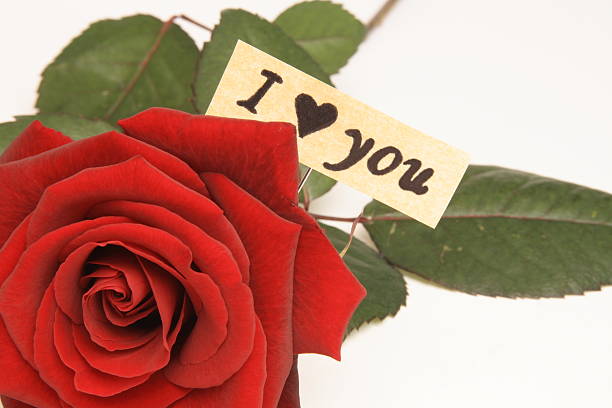 istock Beautiful red rose with I love you 89155257