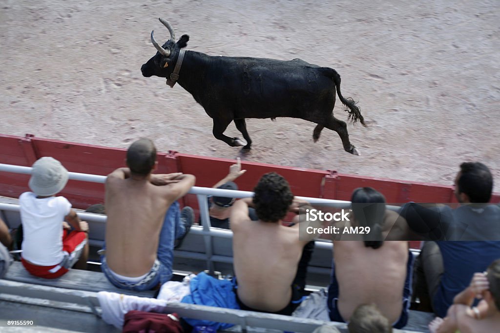 bull 경주 대회 - 로열티 프리 카마르그 스톡 사진