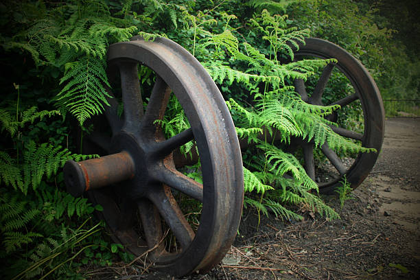 Antique and weathered wood cart wheel with vine green leaves