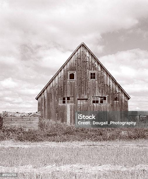 Abandonado Barn Foto de stock y más banco de imágenes de Abandonado - Abandonado, Agricultura, Aire libre