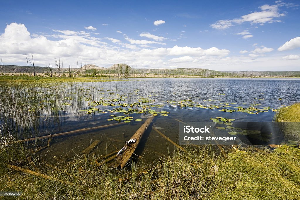 Pictureque w Yellowstone Jezioro - Zbiór zdjęć royalty-free (Ameryka)