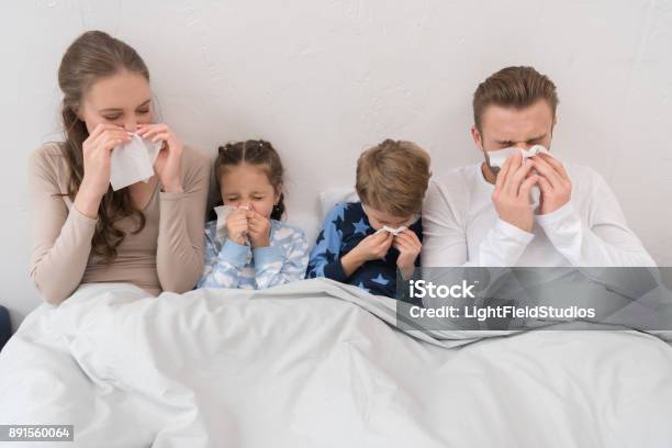 Family Blowing Noses In Napkins Stock Photo - Download Image Now - Family, Illness, Cold And Flu
