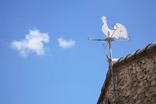 banderuola - roof roof tile rooster weather vane foto e immagini stock