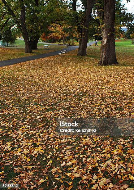 Foglie In Autunno Parco - Fotografie stock e altre immagini di Ambientazione esterna - Ambientazione esterna, Autunno, Composizione verticale