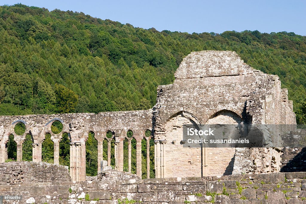 Rovine di Tintern - Foto stock royalty-free di Abbazia