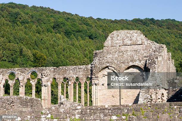 Część Tintern Ruins - zdjęcia stockowe i więcej obrazów Antyki - Antyki, Architektura, Bez ludzi