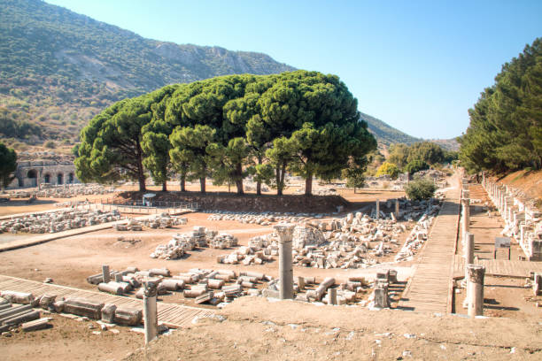 istock Ruins of Ephesys in Turkey 891572202