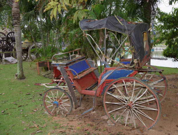 istock Old carriage in an abandoned garden 891572370