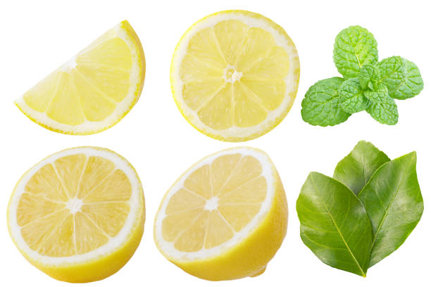Collection of lemon fruits with leaves and mint isolated on white background