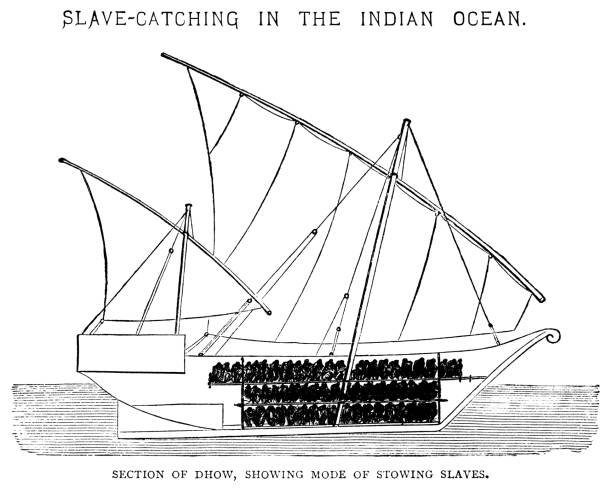 Slave Dhow in the Indian Ocean An Arab dhow, seen in cross-section, showing the method of stowing captured slaves for transport to slave-market. dhow stock illustrations