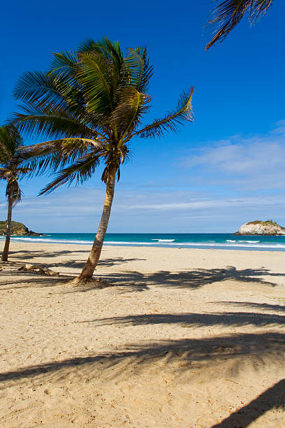 South America, Caribbean, Venezuela, Isla Margarita, Pedro Gonzalez, Playa Puerto Cruz, Beach, Beach, Bay, Fishing Village, Palm Trees, Holidays, Dream Beach, Idyll, Landscape,