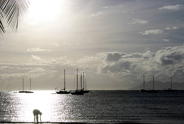 Tramonto di Tahiti - foto stock