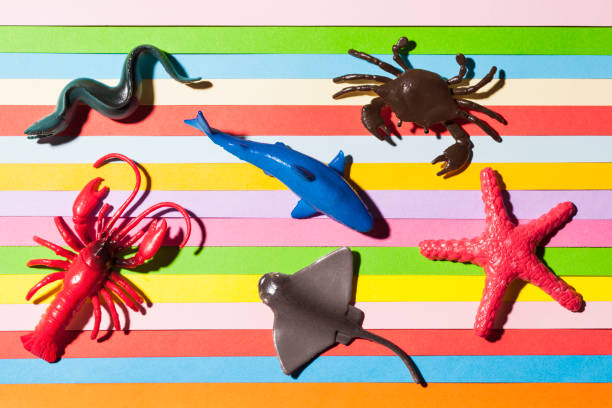 Collection of Sea Animals on multicolored background