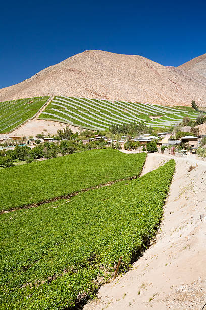 The valley floor, mountains and sky often make the starkest of contrasts
