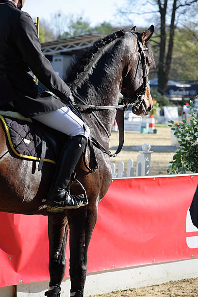istock Horse and rider 1 89158658