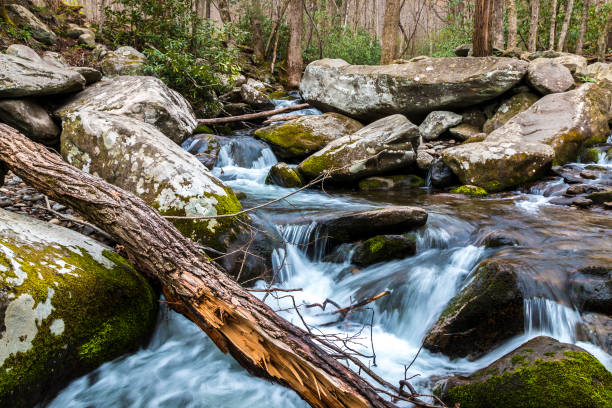 riacho da floresta. cascatas de água sobre as rochas no parque nacional great smoky mountains. - gatlinburg waterfall smoke usa - fotografias e filmes do acervo