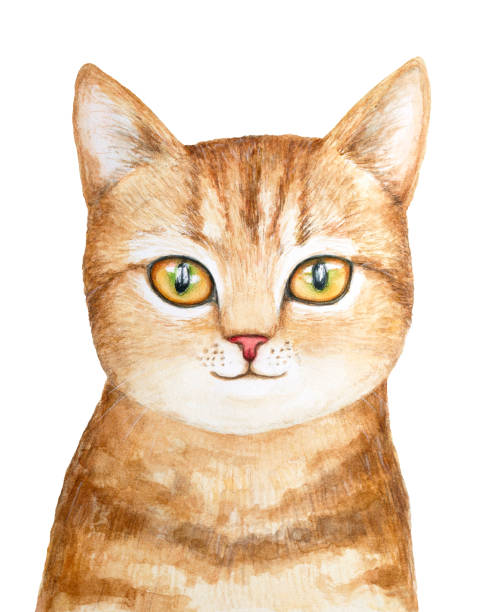 cute little one tabby kotek portret zwierzaka. - humor pets loving vertical stock illustrations